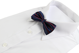 Boys Navy With Red Stripes Patterned Bow Tie